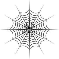 236x236 How Do You Make A Spider Web Drawing In Illustrator Projects To - Spider Web Sketch