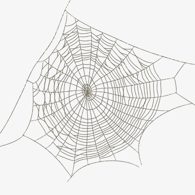 Spider Web Sketch at PaintingValley.com | Explore collection of Spider ...
