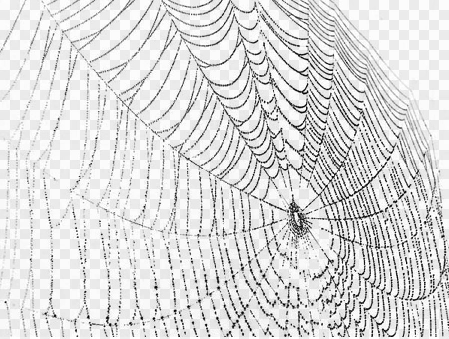 900x680 Spider Web Spider Silk Clip Art - Spider Web Sketch