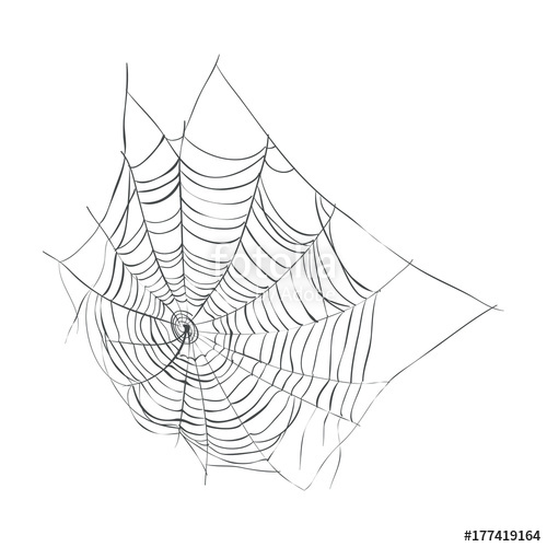 Spider Web Sketch at PaintingValley.com | Explore collection of Spider