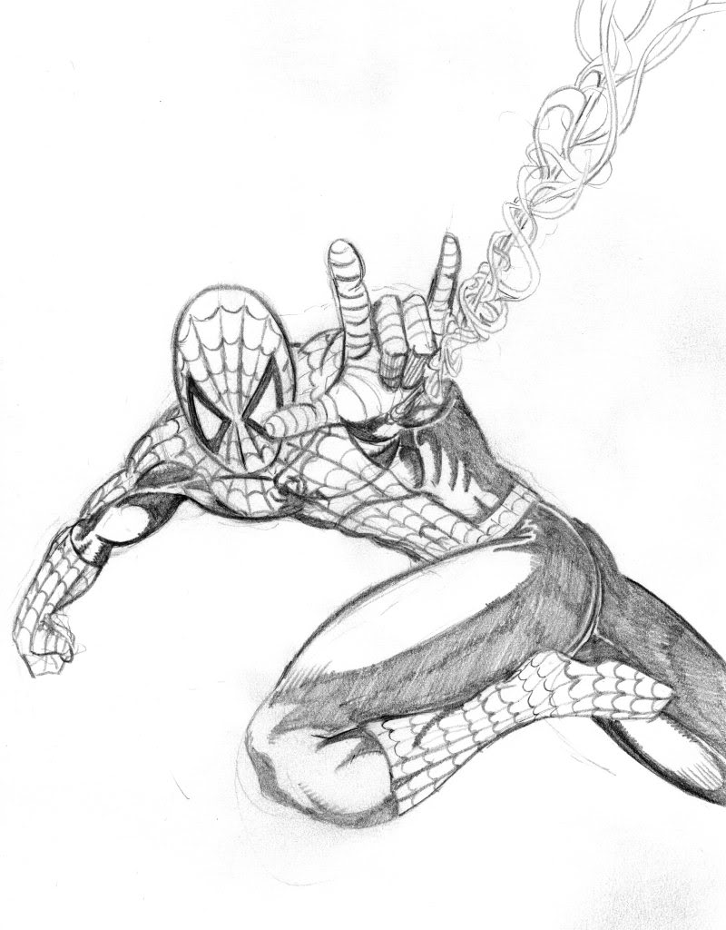 800x1024 Spider Man Sketch - Spiderman Sketch