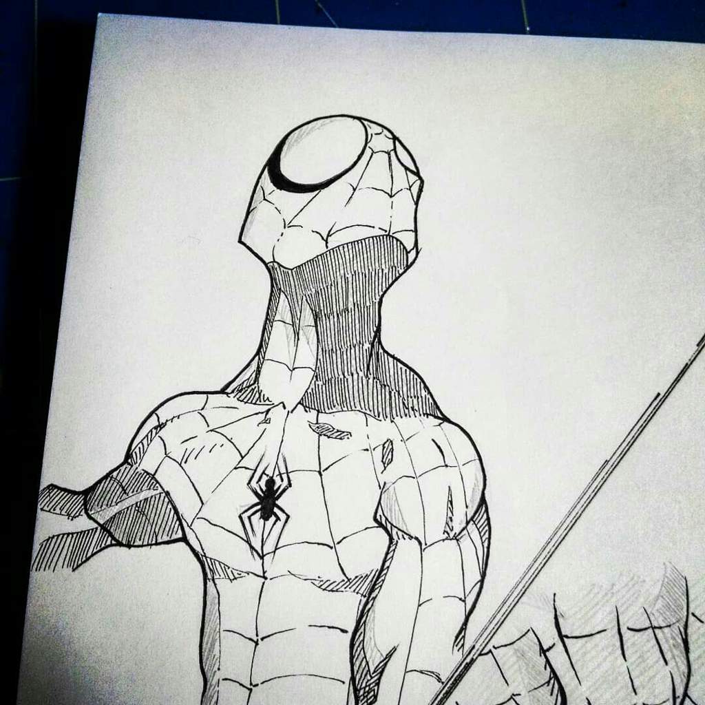 1024x1024 Spiderman Sketch - Spiderman Sketch