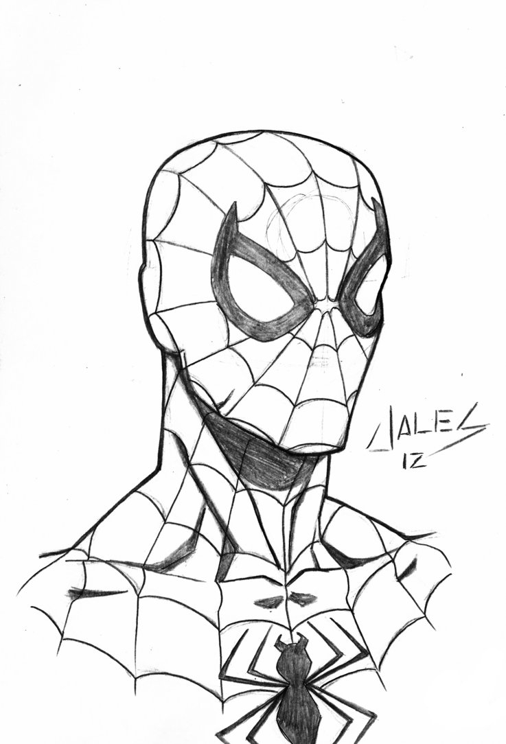 737x1084 Spiderman Cartoon Sketch Spiderman Cartoon Drawing At Getdrawings - Spiderman Sketch Easy