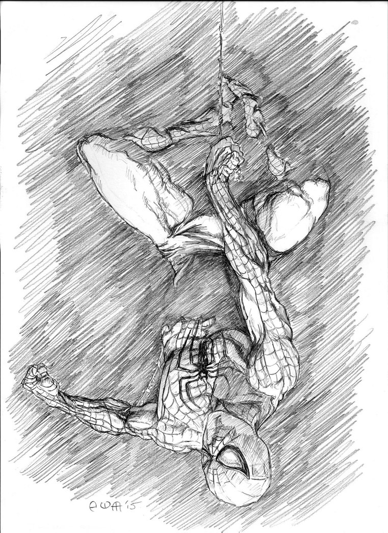 762x1048 Spider Man Sketch By Eric Meador By Meador - Spiderman Sketch Images