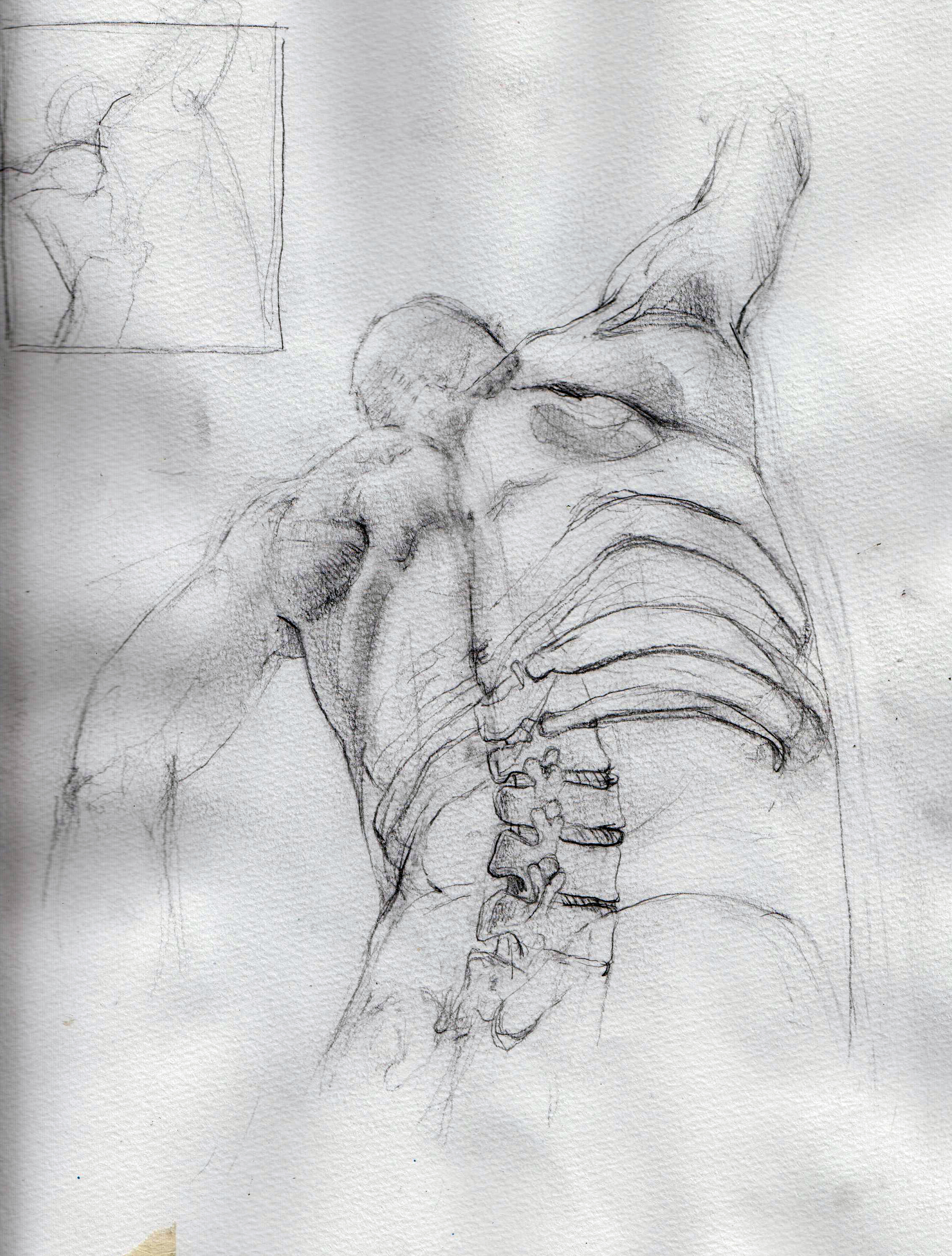 2241x2955 Spine Sketch Kelsey Temanson - Spine Sketch