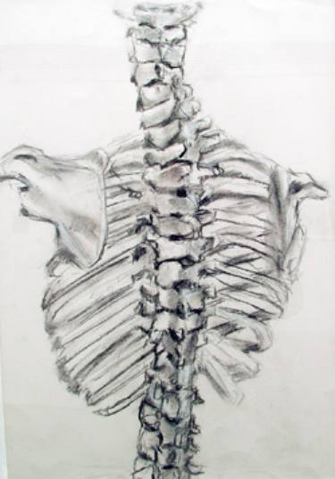 375x537 Spine Sketch Photography By Molly Bair Saatchi Art - Spine Sketch