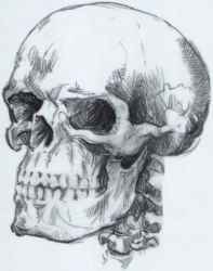 197x250 Anime Woman Sketch - Spine Sketch