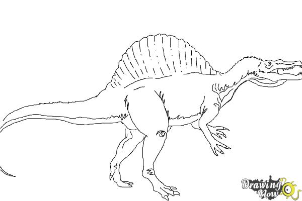600x400 How To Draw A Spinosaurus - Spinosaurus Sketch