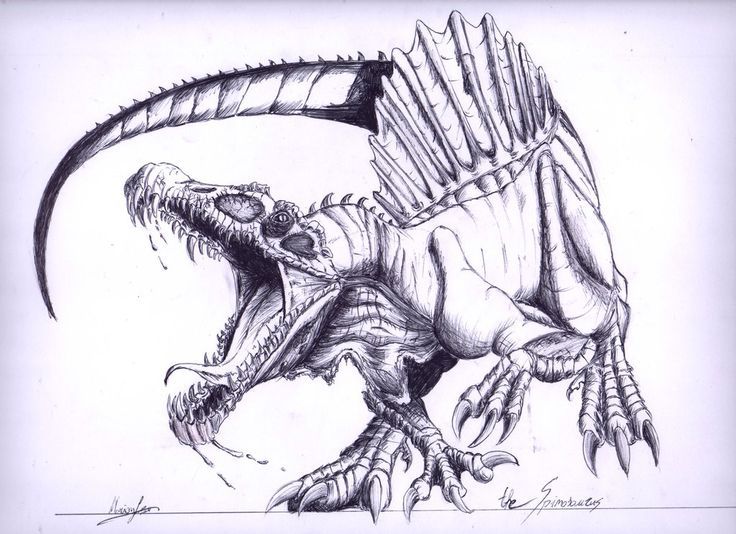 736x534 Spinosaurus (Last Pen Drawing Of Dinosaurs... The Amazing - Spinosaurus Sketch
