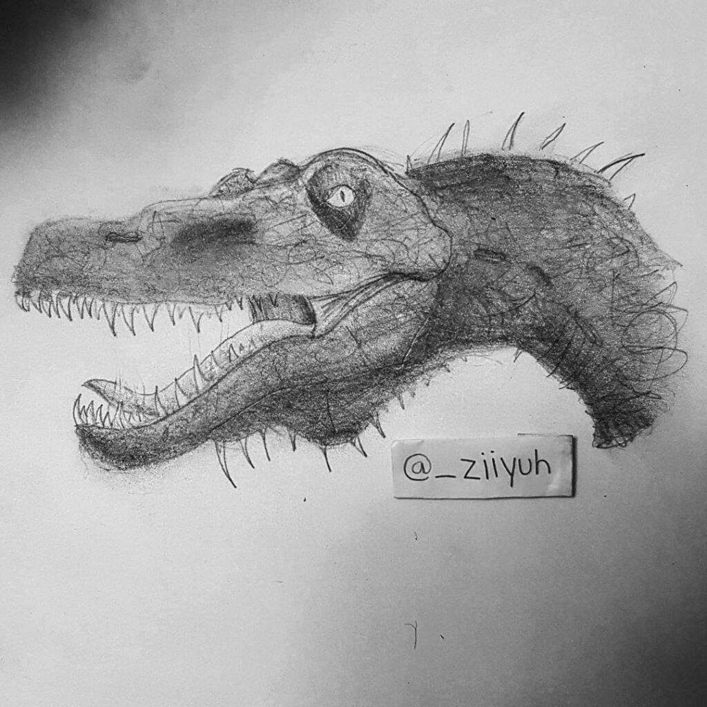 1024x1024 Spinosaurus Sketch! Jurassic Park Amino - Spinosaurus Sketch