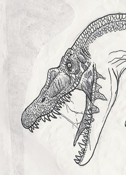 416x576 Another Spinosaurus Sketch By Hodarinundu - Spinosaurus Sketch