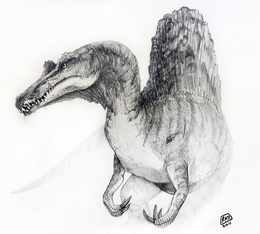 900x810 Spinosaurus Sketch By ~ryno720 Discovered By Mewfa - Spinosaurus Sketch