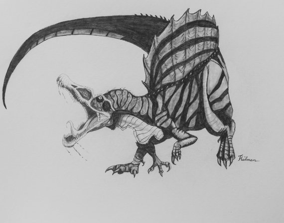 570x448 Spinosaurus Dinosaur Realistic Original Drawing In Graphite Etsy - Spinosaurus Sketch