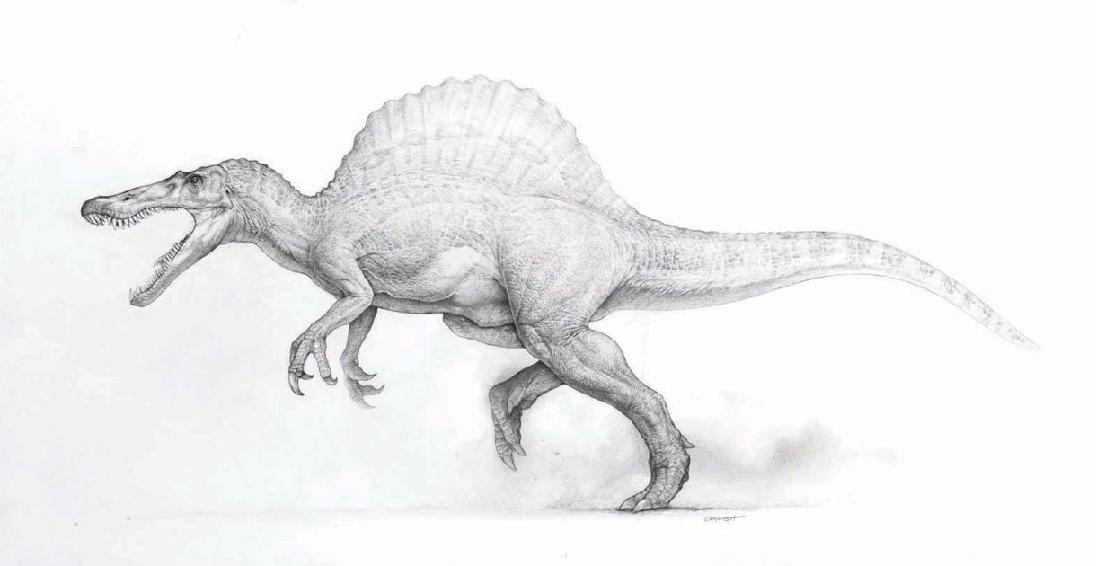1220x630 Spinosaurus Sketch Dino Inspiration Jurassic Park - Spinosaurus Sketch