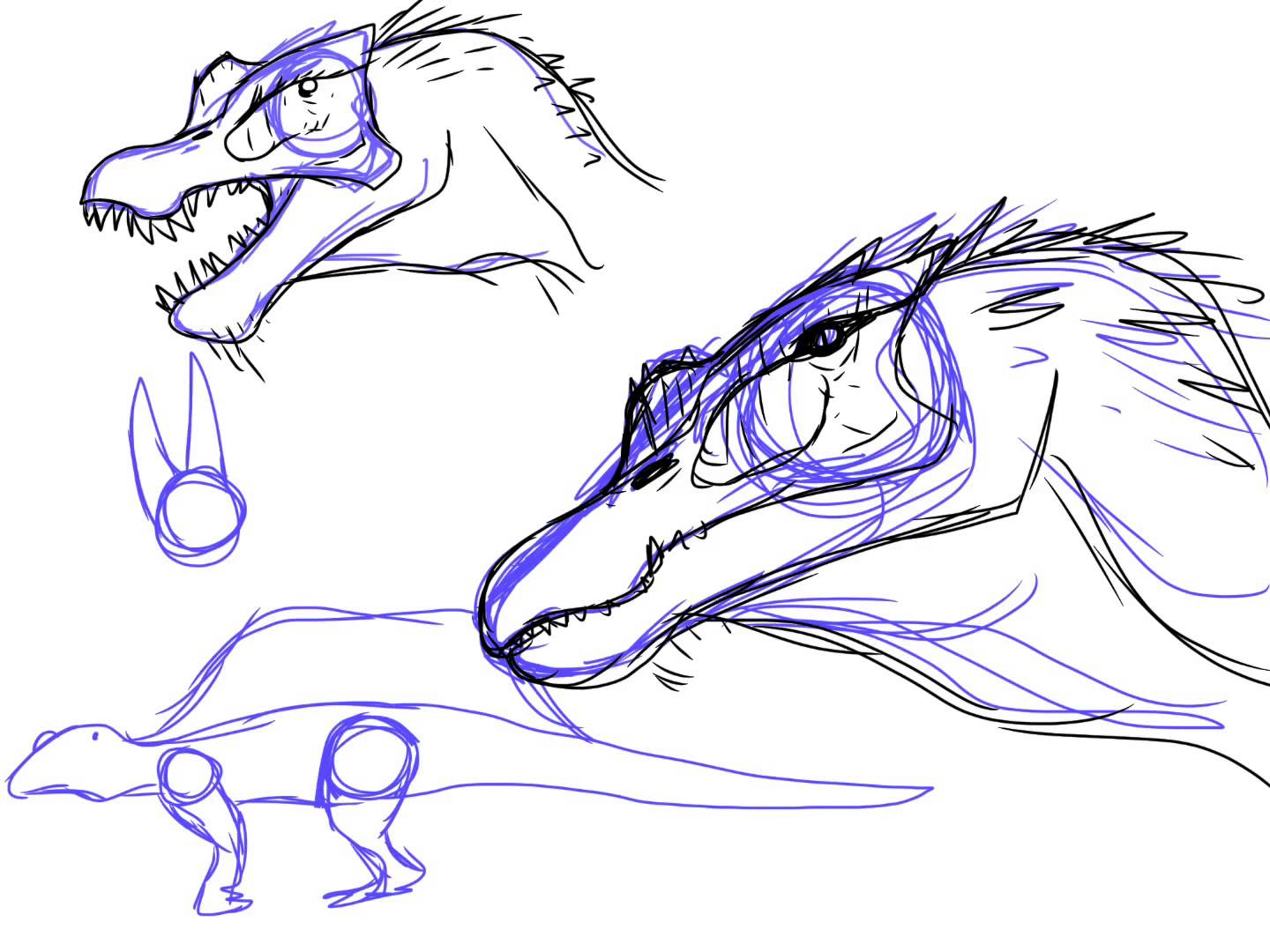1440x1080 Spinosaurus Sketches - Spinosaurus Sketch