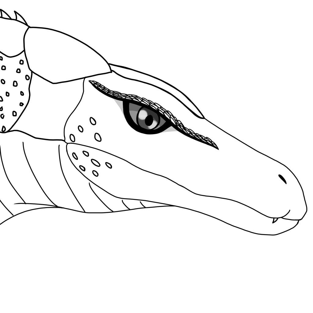 1024x1024 Armadillosuchus And Spinosaurus Sketches Dinosaur Lovers Amino - Spinosaurus Sketch