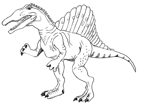 478x356 Why Did Spinosaurus Have A Sail On Its Back - Spinosaurus Sketch