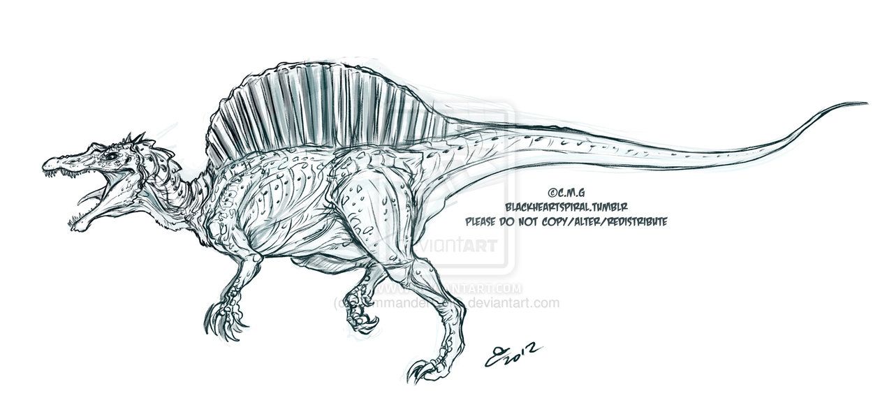 1280x570 Spinosaurus Drawing - Spinosaurus Sketch