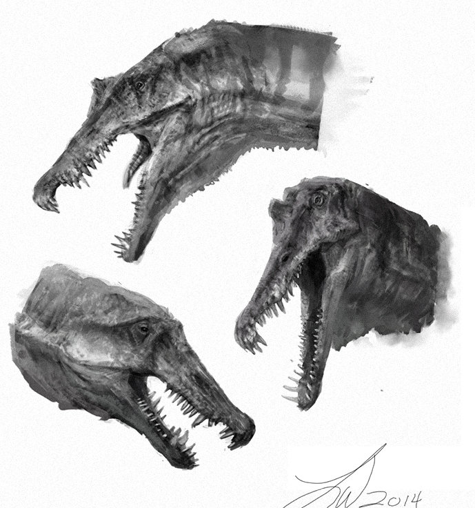 689x736 Artstation - Spinosaurus Sketch