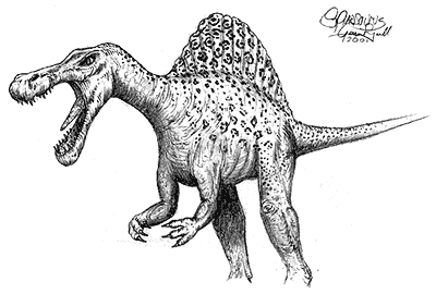 400x270 Collection Of Free Spinosaurus Drawing Sketch. Download On Ubisafe - Spinosaurus Sketch