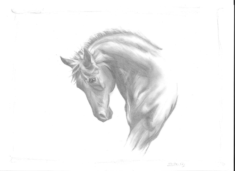 900x654 Free Horse Drawing Free Horse Drawing Pictures International - Spirit Horse Sketches