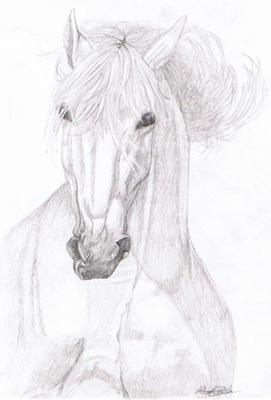271x400 Horse Drawings By Spirit (Part 1) - Spirit Horse Sketches