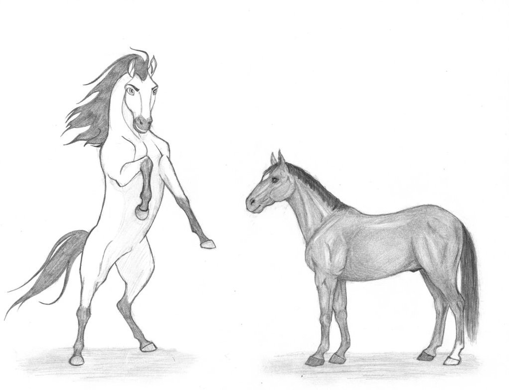 1021x782 Spirit Meets Black Beauty By Ladeary - Spirit Horse Sketches