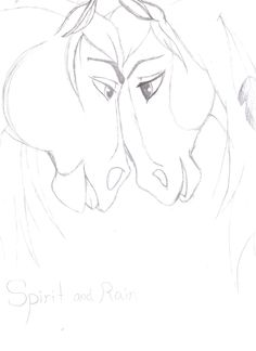 236x324 Drawings Of Rain The Horse - Spirit Horse Sketches