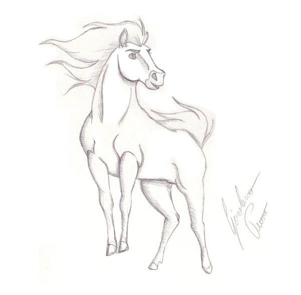 600x589 Sketch Of Spirit By Lupin3ita - Spirit Horse Sketches