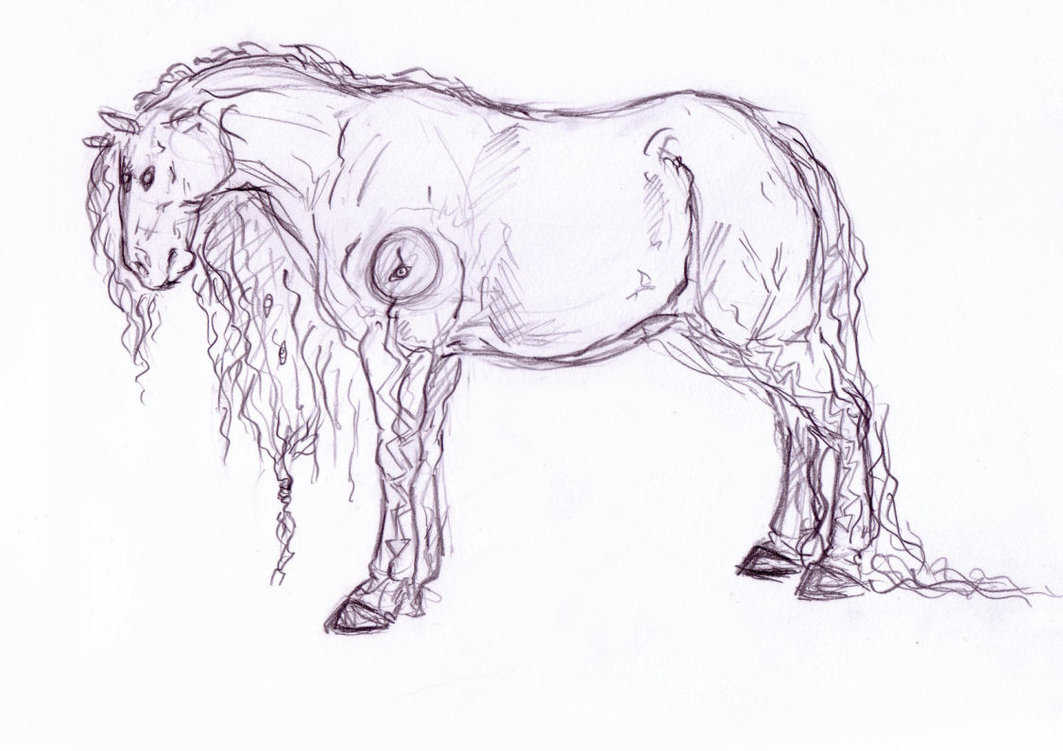 1063x751 Spirit Horse Sketch By Branwolf - Spirit Horse Sketches