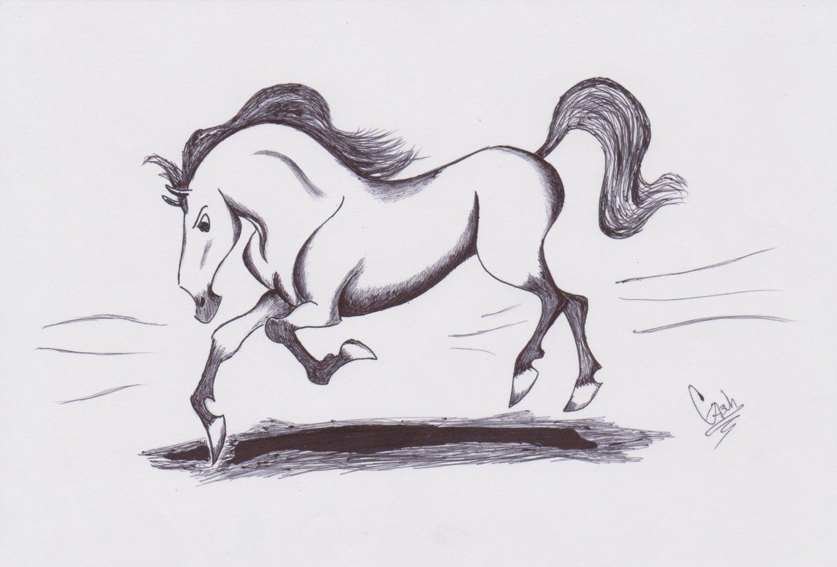 1200x813 Spirithorse Hashtag On Twitter - Spirit Horse Sketches
