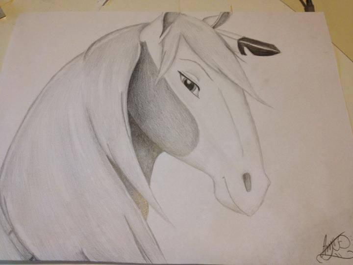 720x540 Images For - Spirit Stallion Of The Cimarron Sketches