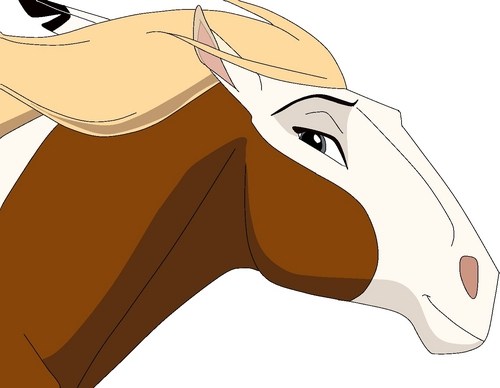 500x388 Spirit Stallion Of The Cimarron Horses - Spirit Stallion Of The Cimarron Sketches