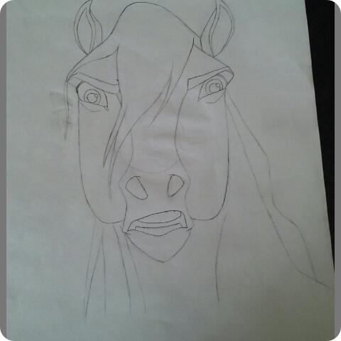 480x480 Spirit Stallion Of The Cimarron Sketches Steemit - Spirit Stallion Of The Cimarron Sketches