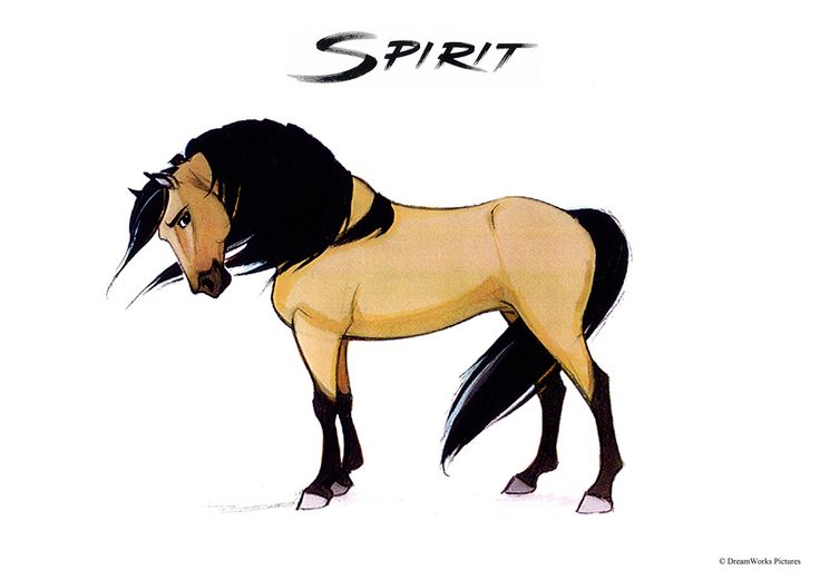 736x521 Character Design References - Spirit Stallion Of The Cimarron Sketches