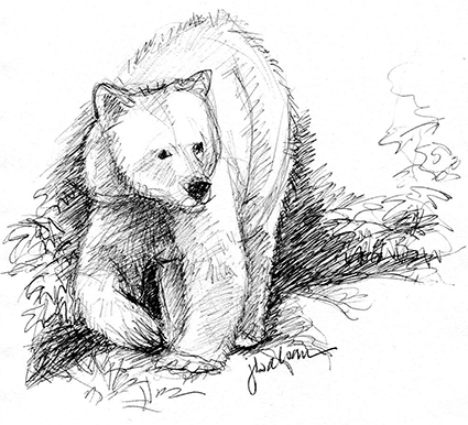 425x386 Spirit Bear Drawing Still A Dreamer - Spiritual Sketches