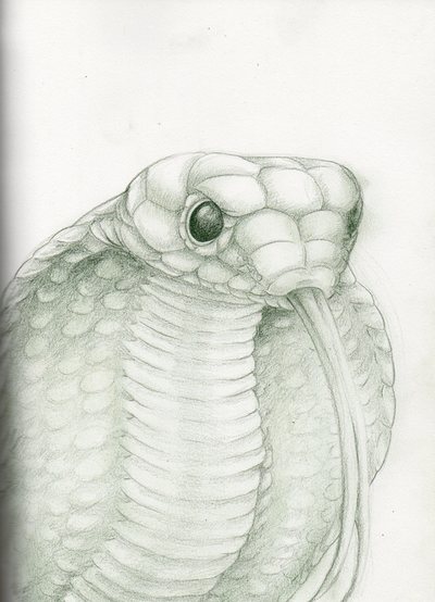 400x554 Spirit Guide Illustrations - Spiritual Sketches