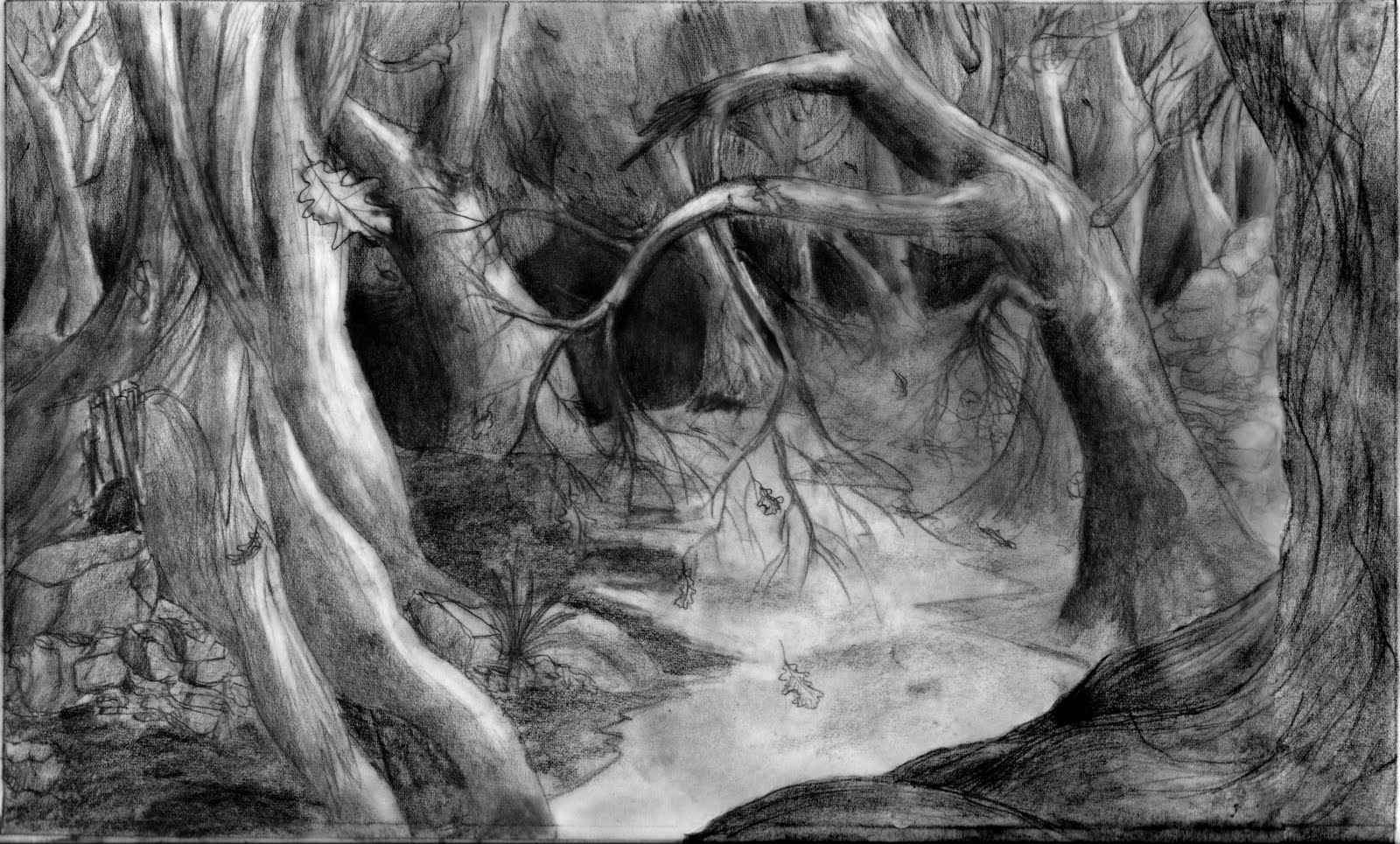 1600x965 Drawn Jungle Creepy - Spooky Tree Sketch