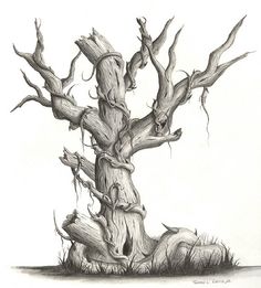 236x261 Creepy Tree Art Scary Tree Drawing Untitled - Spooky Tree Sketch