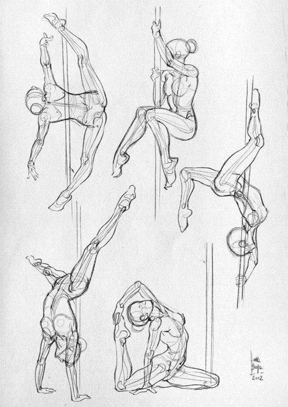 566x800 Here Are Some More Anatomical Studies And Sketches (Sport). Art - Sports Sketches