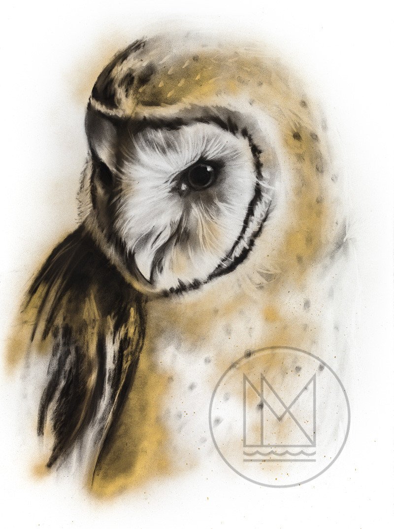 800x1073 Barn Owl Charcoal Drawing With Gold Spray Paint Highlights - Spray Paint Sketch