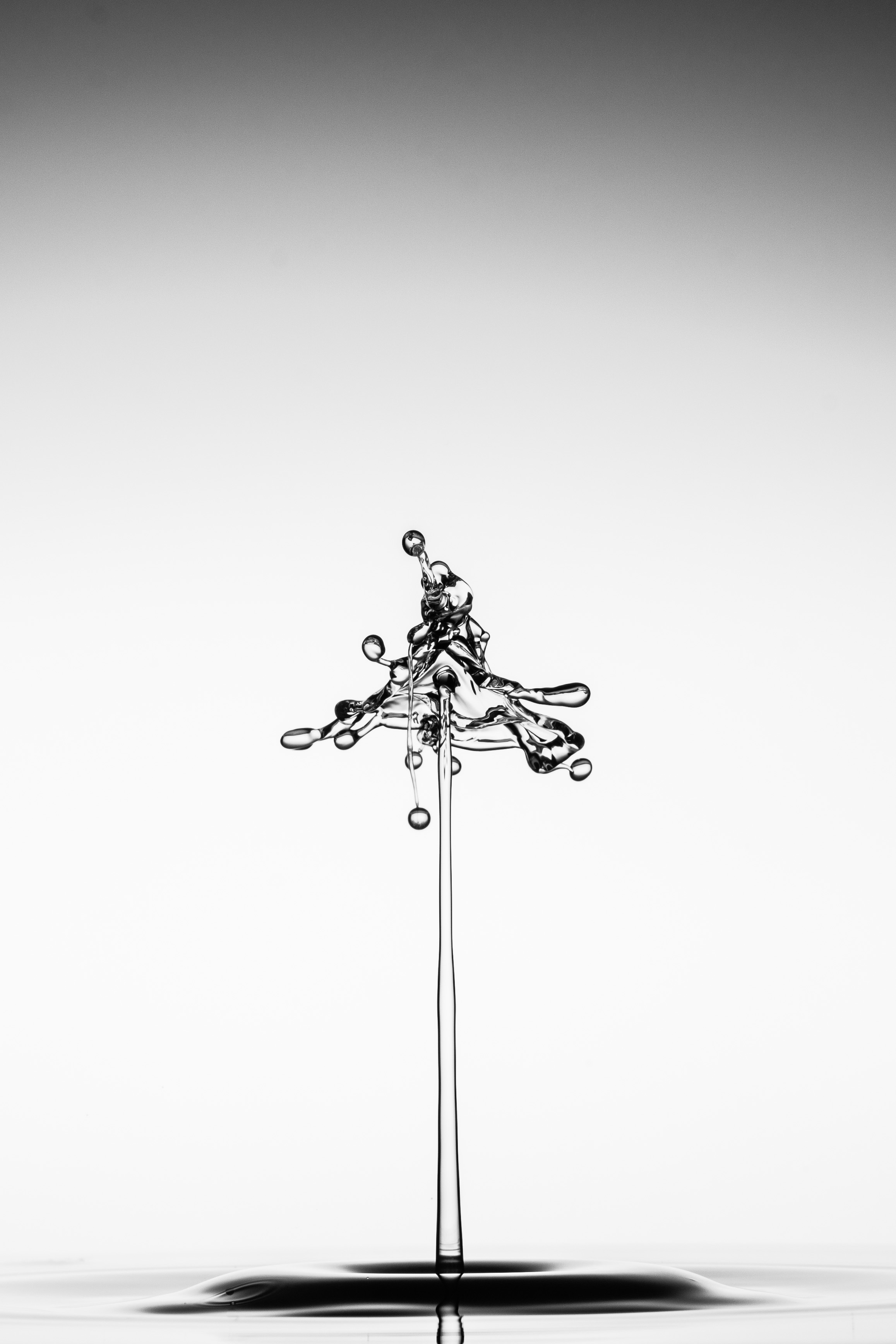 2315x3472 Free Images Liquid, Black And White, Spray, Lighting, Drip - Spray Sketch