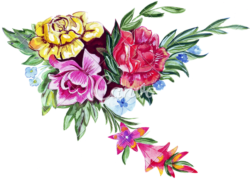 800x575 Illustration Sketch Of A Large Bouquet Of Fresh Spring Flowers - Spring Flowers Sketch