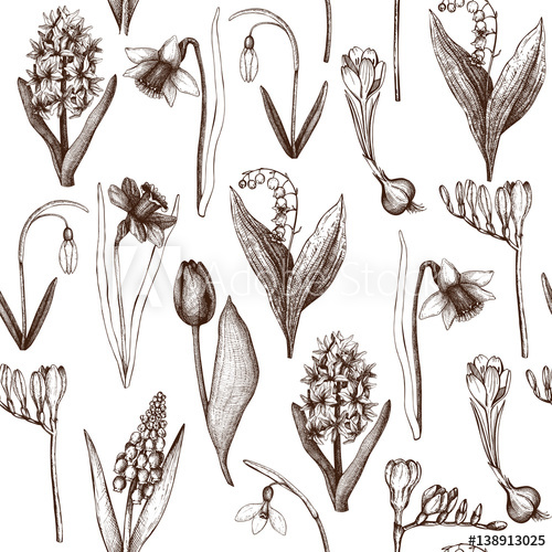 500x500 Seamless Pattern With Hand Drawn Spring Flowers Sketch. Botanical - Spring Flowers Sketch