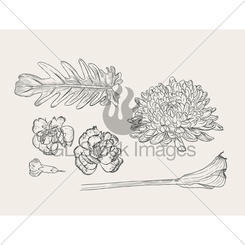 500x500 Floral Bouquet With Hand Drawn Spring Flowers Gl Stock Images - Spring Flowers Sketch