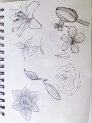 320x427 Getting Ready For Spring! Flower Last Sketch Amp - Spring Flowers Sketch