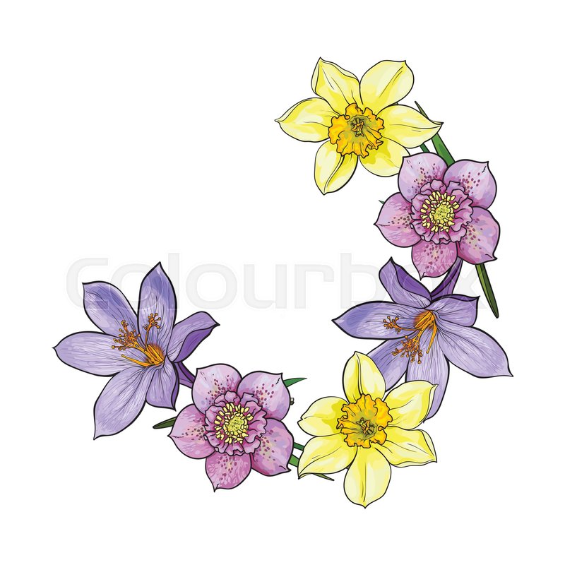 800x800 Half Frame Of Spring Flowers, Decoration Element, Sketch Vector - Spring Flowers Sketch