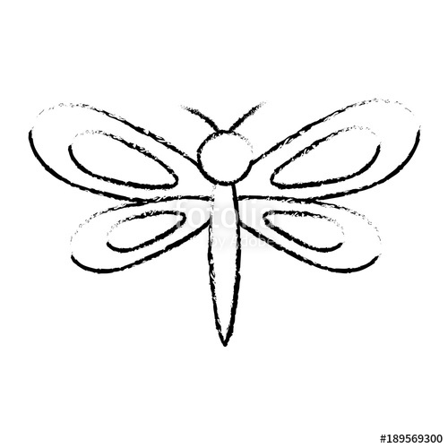 500x500 Dragonfly Insect Spring Season Pictogram Vector Illustration - Spring Season Sketch