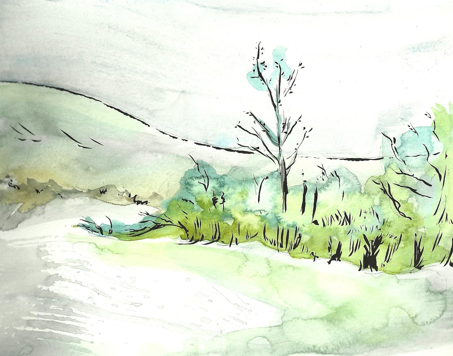 1462x1149 March 3rd - Spring Sketch