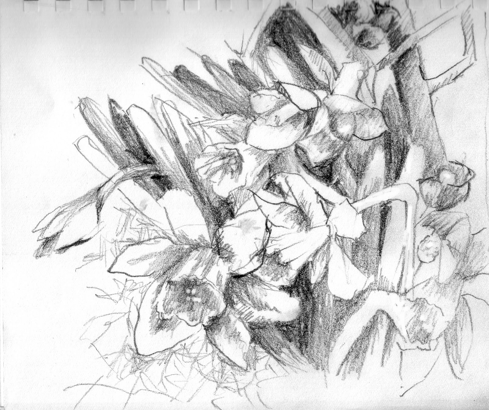 1600x1344 Repke Art Spring Pencil Sketch - Spring Sketch